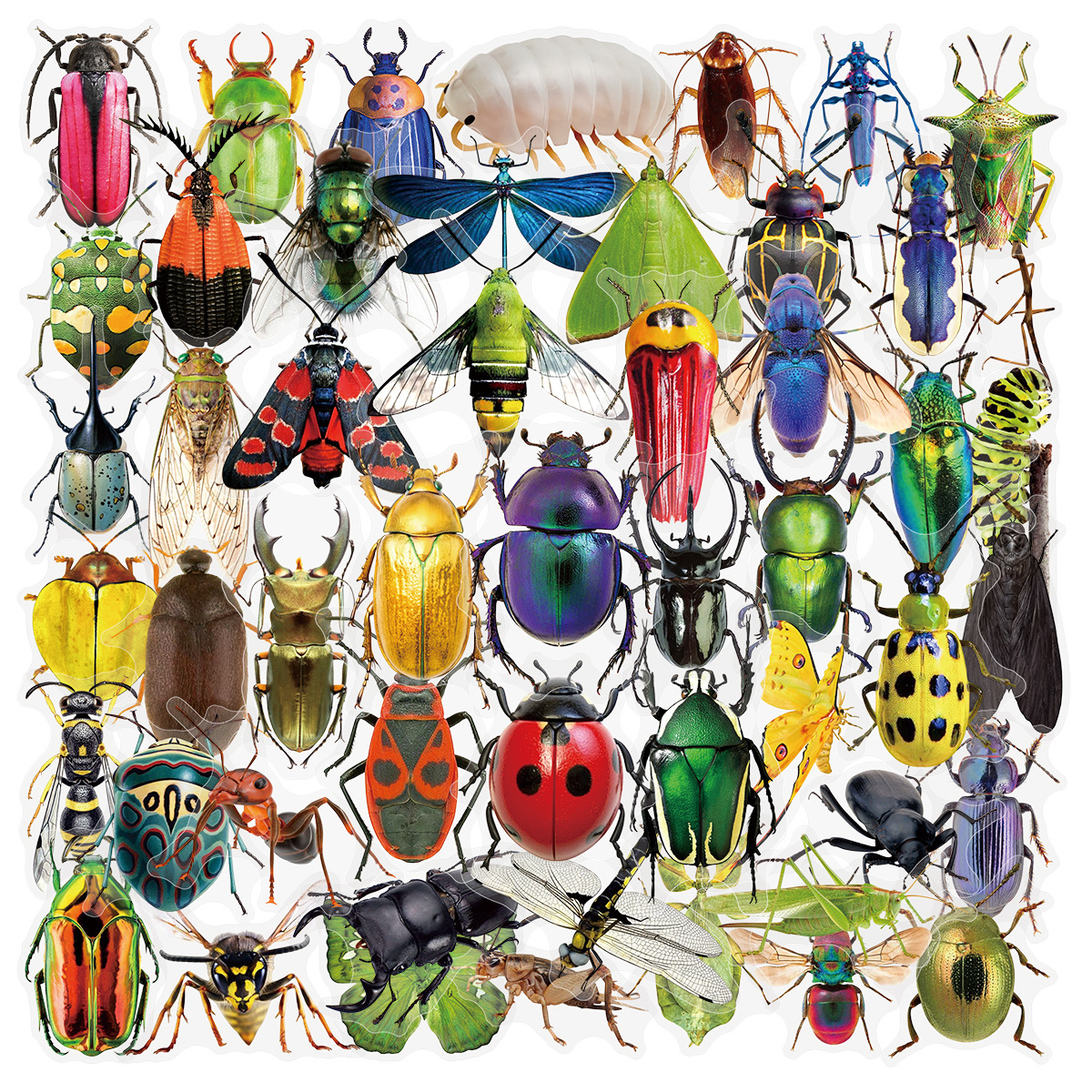 50Pcs Transparent PET Sticker  - Laptop Accessories Cool incelemesi ve fiyatı