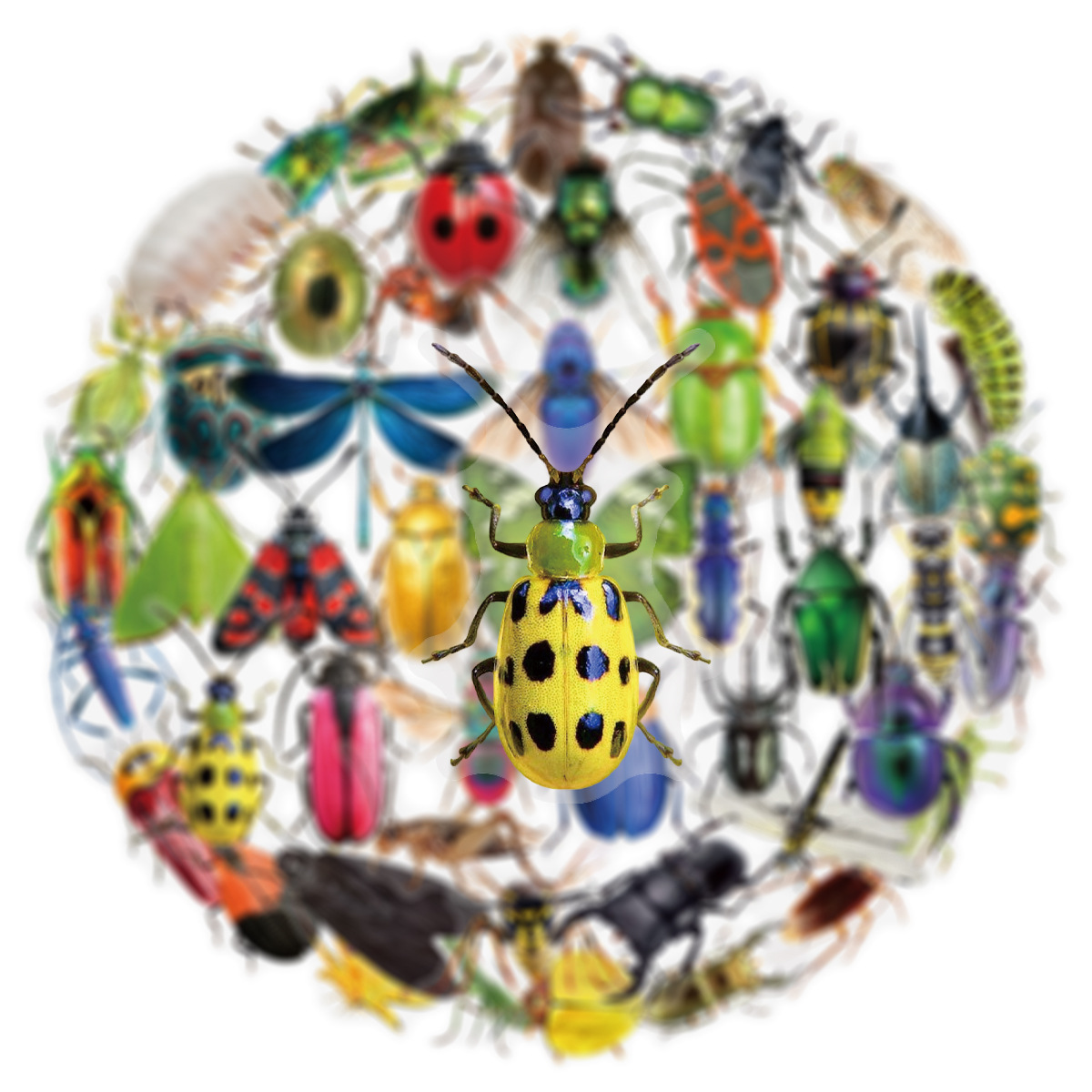 50Pcs Transparent PET Sticker  - Laptop Accessories Cool incelemesi ve fiyatı